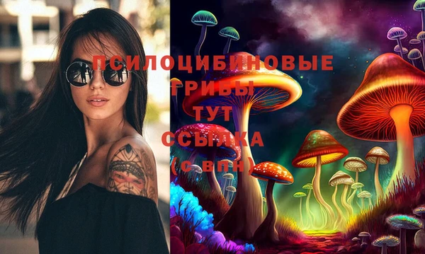 эйфоретик Зеленокумск