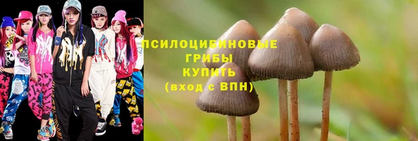 гидра Зеленодольск