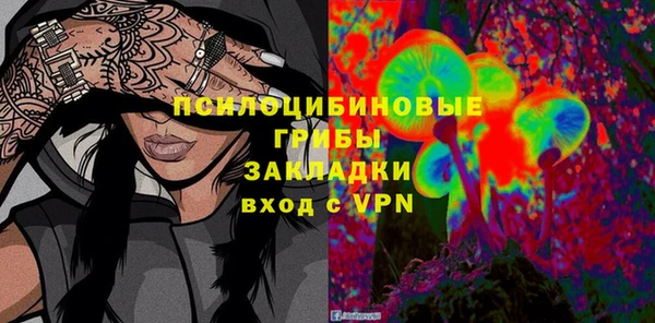 гидра Зеленодольск