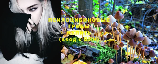 эйфоретик Зеленокумск