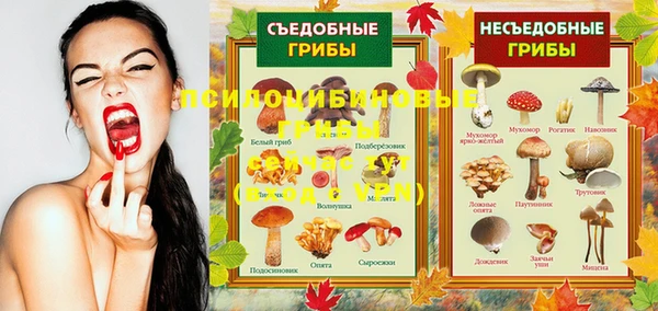 Альфа ПВП Зерноград