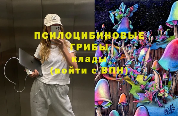 Альфа ПВП Зерноград