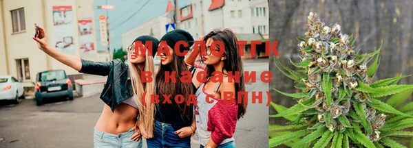 гидра Зеленодольск