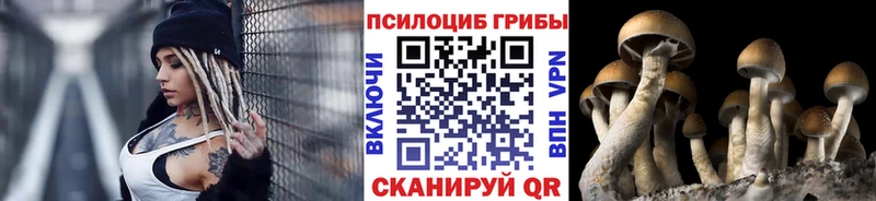 Галлюциногенные грибы мухоморы  Купить где  Знаменск 