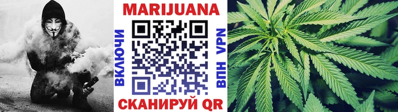 Купить где  Знаменск  Канабис ГИДРОПОН 
